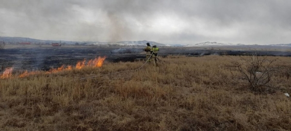 В Бурятии за сутки произошло 12 возгораний сухой травы 