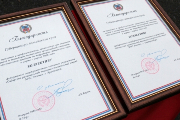 Правительство Алтайского края отметило работу спасателей МЧС России высокими наградами 