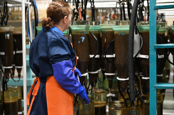 В Бурятии в рамках нацпроекта модернизируют Большереченский рыбоводный омулевый завод