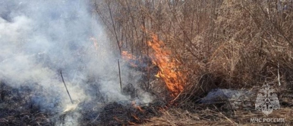 В Республике Бурятия ввели особый противопожарный режим 