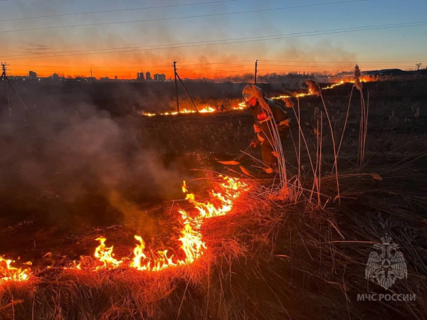 Александр Куренков держит на личном контроле ситуацию с природными пожарами 