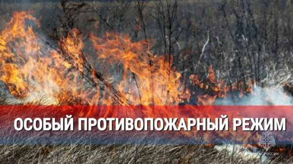 На всей территории Республики Бурятия введён особый противопожарный режим 