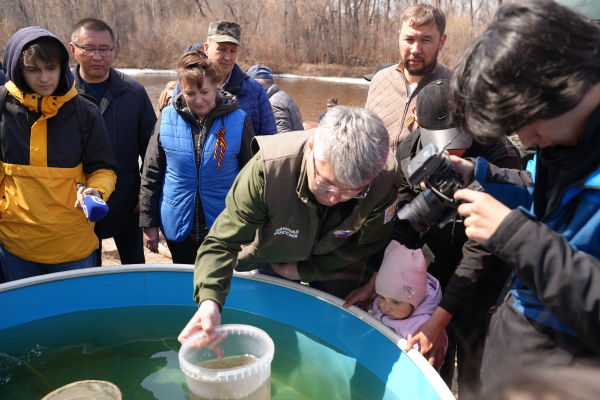 Более 800 млн личинок омуля выпустят в Байкал в этом году 