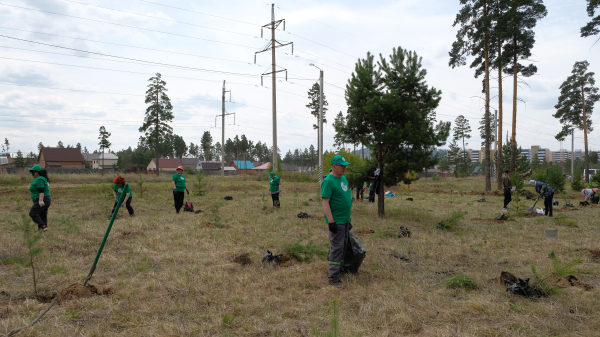 В Улан-Удэ высадили деревья в честь подвигов участников специальной военной операции 