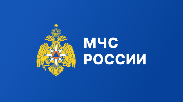 Делегация МЧС России под руководством Александра Куренкова прибыла в Индию Делегация МЧС России под руководством Александра Куренкова прибыла в Индию