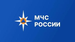 Опрос по знаниям и навыкам окaзания первой помощи