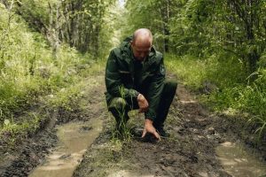 В Бурятии усиливают меры по регулированию численности медведей