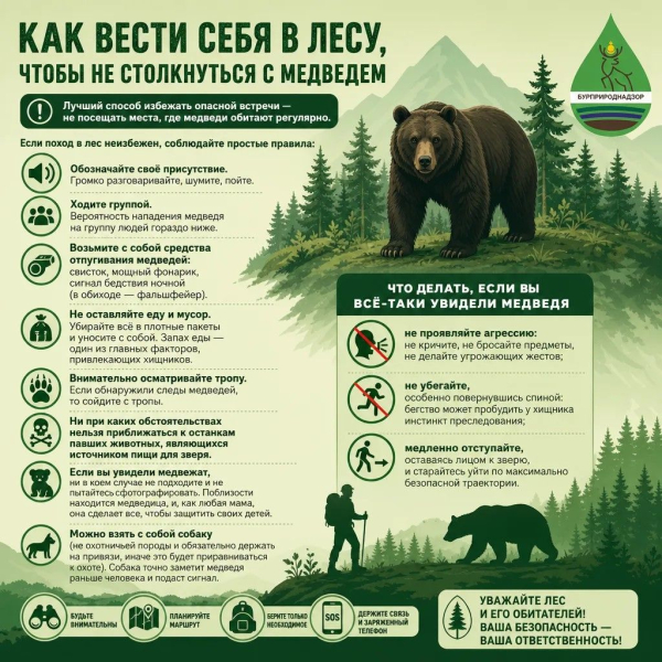 В Бурятии усиливают меры по регулированию численности медведей В Бурятии усиливают меры по регулированию численности медведей