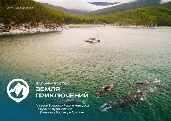 На конкурс &laquo;Дальний Восток &ndash; Земля приключений&raquo; поступило более 200 фильмов со всей страны